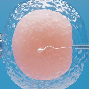 Donazione di gameti e PMA eterologa: come funziona e cosa sapere