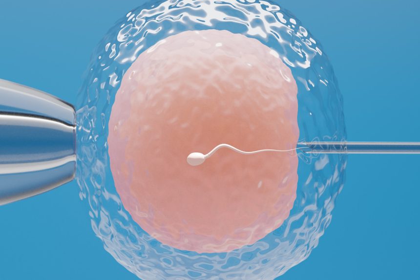 Donazione di gameti e PMA eterologa: come funziona e cosa sapere