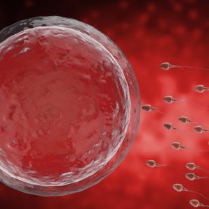 Insufficienza ovarica prematura e infertilità femminile Insufficienza ovarica prematura e infertilità femminile