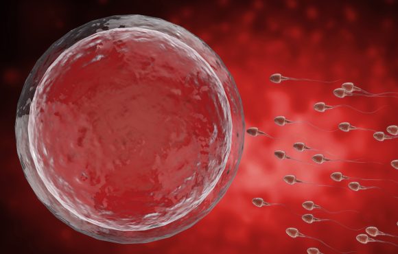 Insufficienza ovarica prematura e infertilità femminile