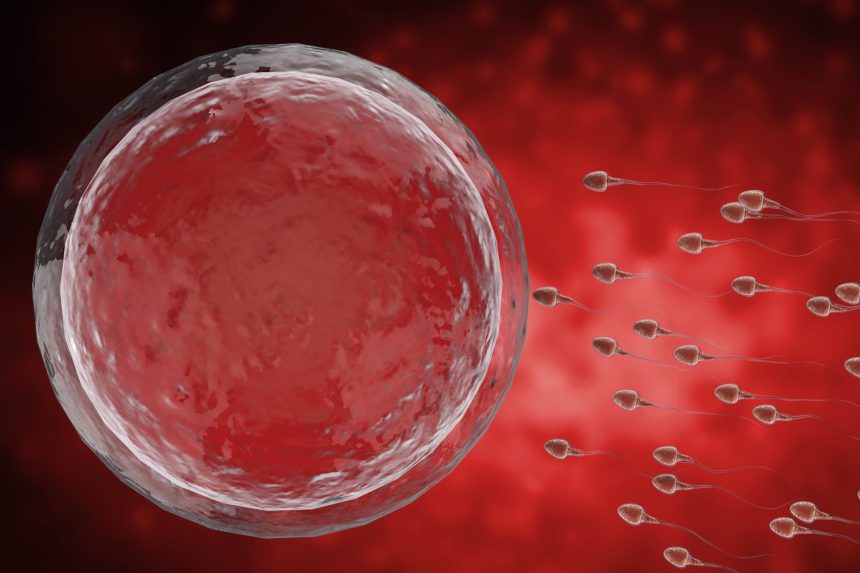 Insufficienza ovarica prematura e infertilità femminile Insufficienza ovarica prematura e infertilità femminile