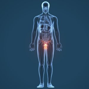 Eiaculazione retrograda: come impatta la fertilità maschile