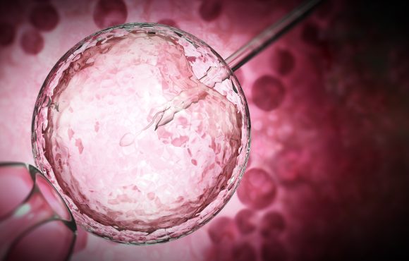 Inseminazione artificiale (IUI) e fecondazione assistita (FIVET/ICSI): quali sono le differenze? Inseminazione artificiale (IUI) e fecondazione assistita (FIVET/ICSI): quali sono le differenze?