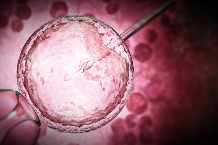Inseminazione artificiale (IUI) e fecondazione assistita (FIVET/ICSI): quali sono le differenze? Inseminazione artificiale (IUI) e fecondazione assistita (FIVET/ICSI): quali sono le differenze?