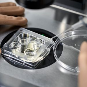 Scambio involontario di embrioni nella PMA: prevenirlo con RI Witness