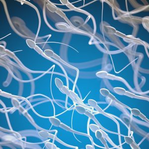 Età e fertilità maschile: come cambia la qualità degli spermatozoi con gli anni Età e fertilità maschile: come cambia la qualità degli spermatozoi con gli anni