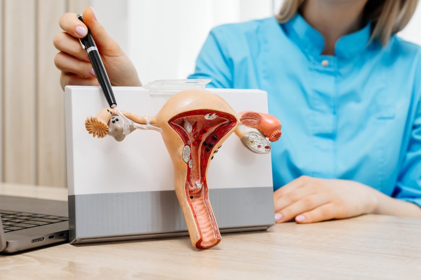Riserva ovarica: come si valuta e cosa significa per la fertilità femminile Riserva ovarica: come si valuta e cosa significa per la fertilità femminile